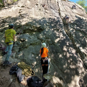 Multipitch Intermediari 21-23 noiembrie